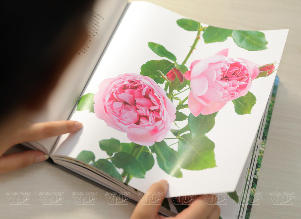 Elle dessine sur papier avant de dessiner sur des coquilles d'œufs.