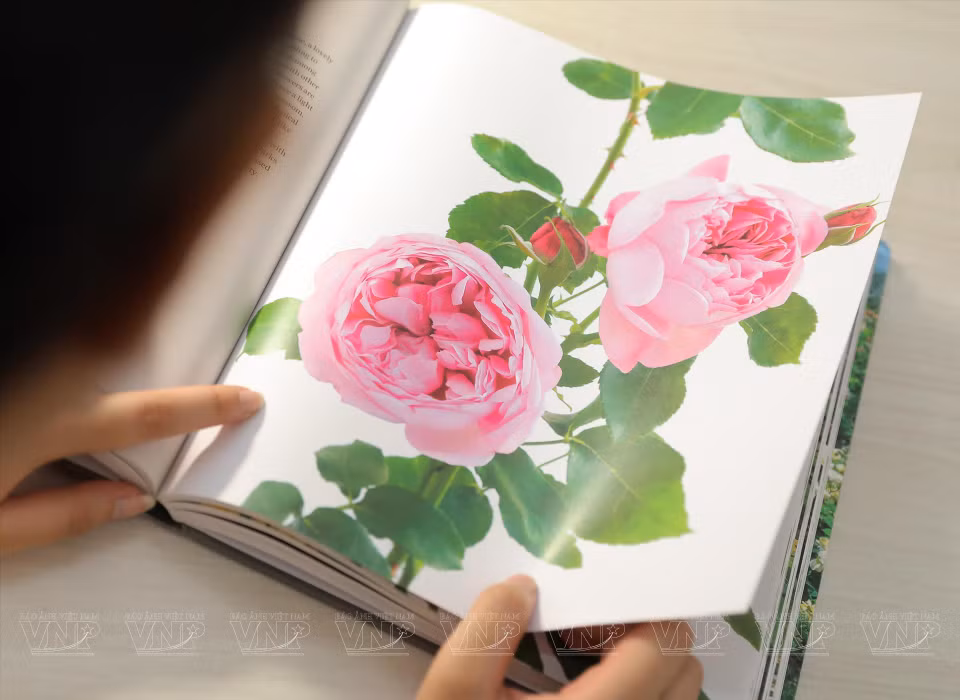 Elle dessine sur papier avant de dessiner sur des coquilles d'œufs.