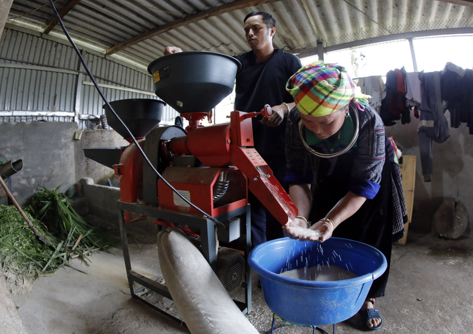 La famille de Mme Mua Thi Say et de M. Thao A Pang du village de Nam Khat, commune de Nam Khat, district de Mu Cang Chai, province de Yen Bai, était autrefois une famille démunie et a ensuite reçu des prêts pour le développement économique. Cette famille a amélioré ses revenus et sa qualité de vie. 