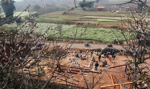 En fin d’année, lorsque les pêchers et pruniers fleurissent, c’est le moment pour les Thai de construire une nouvelle maison sur pilotis.