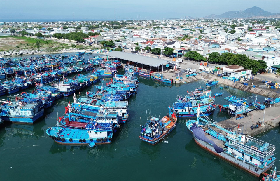 Le port de pêche de My Tan (commune de Thanh Hai, district de Ninh Hai) investi de manière synchrone pour répondre aux exigences de développement économique maritime local. 