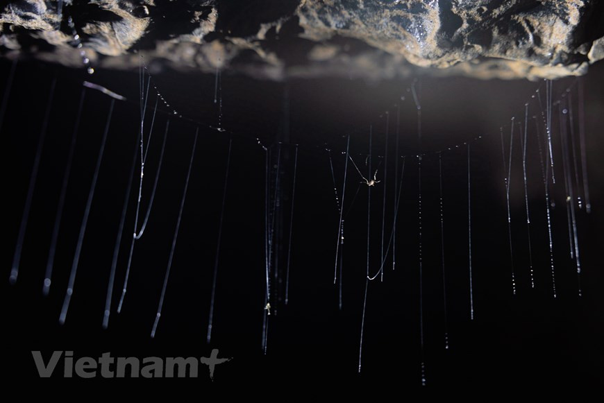  Hang Va abrite des formations de stalactites parmi les plus belles au monde.