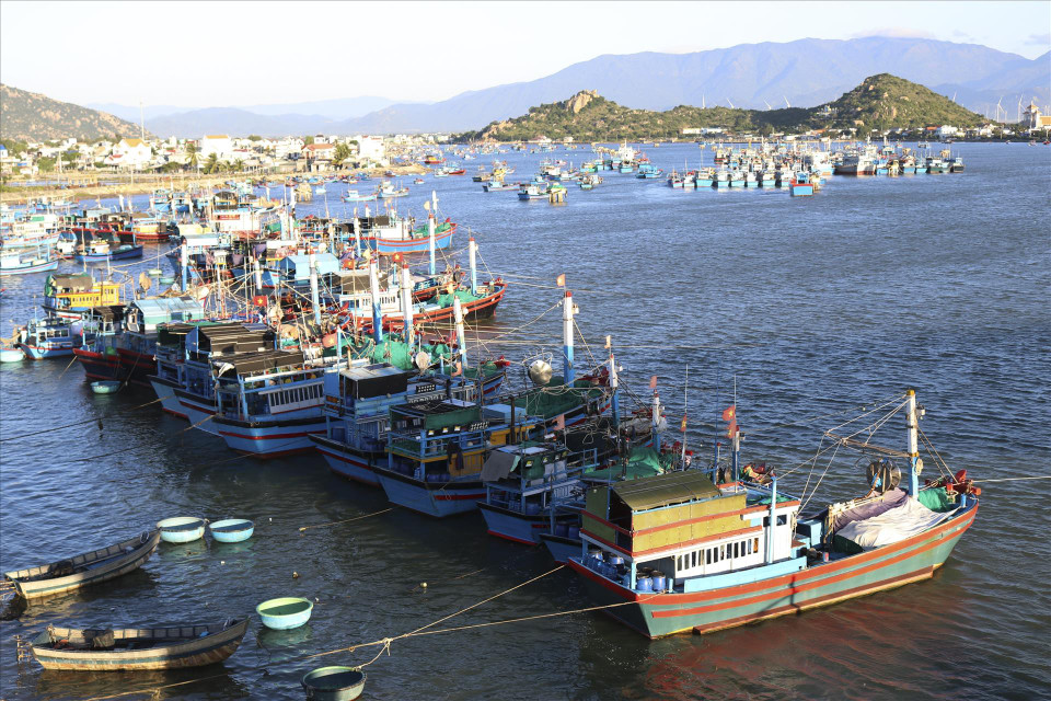 Les bateaux des pêcheurs de Ninh Thuan. 