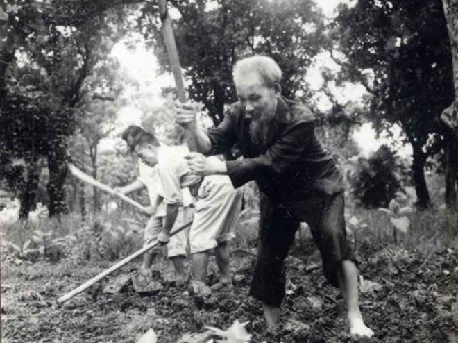 L’Oncle Ho fait du jardinage dans le jardin du Palais présidentiel (en 1957). Photo: VNA