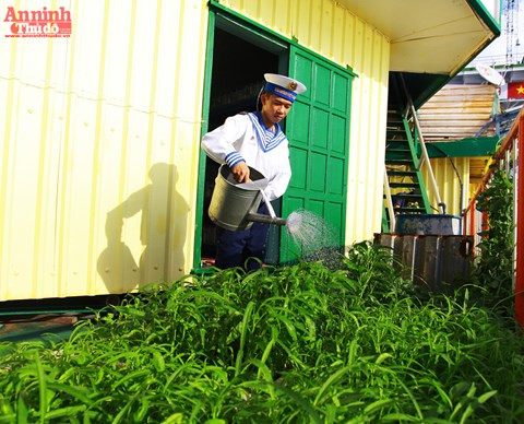 Les soldats de la plate-forme DK1/9 cultivent de petits lopins de terre pour améliorer l'ordinaire.