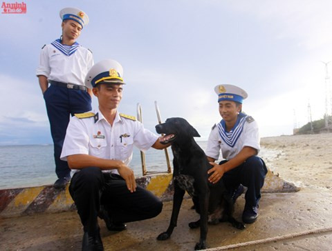 Les chiens, les meilleurs amis des soldats, aident ces derniers à garder les îles de l’archipel de Truong Sa