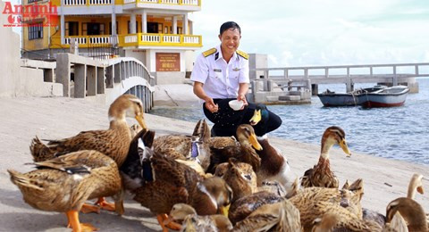 Aviculture sur l'île de Nui Le, une île qui n’a pas de sol.