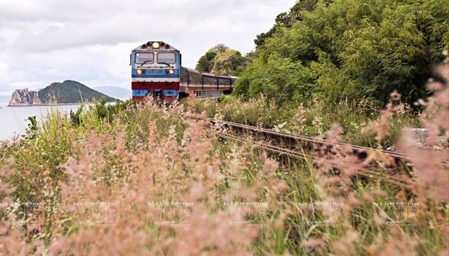 D’une longueur de 2600 km, Vietnam Railways dessert presque toutes les villes et provinces au Vietnam, y compris de nombreuses destinations culturelles et touristiques du Nord au Sud. Photo: Vietnam Illustré