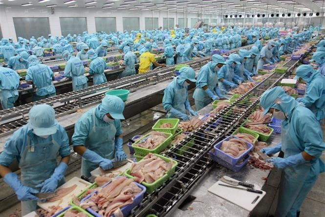 Les produits aquatiques ont figuré parmi les produits d'exportation du Vietnam enregistrant une croissance la plus rapide durant les années du 10e mandat. Photo : VNA