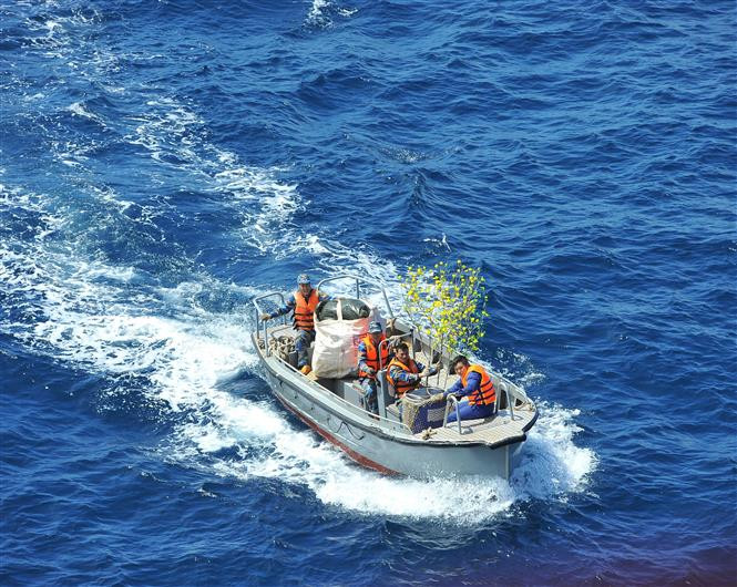 La fleur d'abricotier, un rappel au printemps dans le Sud. Photo: VNA 