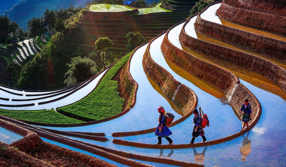 Mu Cang Chai, célèbre pour ses rizières en terrasses, est classé dans la liste des 50 plus belles destinations mondiales établie par le site de voyage Big 7 Travel. Les champs en terrasse de Mu Cang Chai sont beaux toute l'année. En mars, ils sont en eau, puis les paysans repiquent les plants de riz d'avril à mai. En mai, les collines sont couvertes de vert. Début septembre, le riz mûr donne aux pentes une couleur dorée. Photo: VNA
