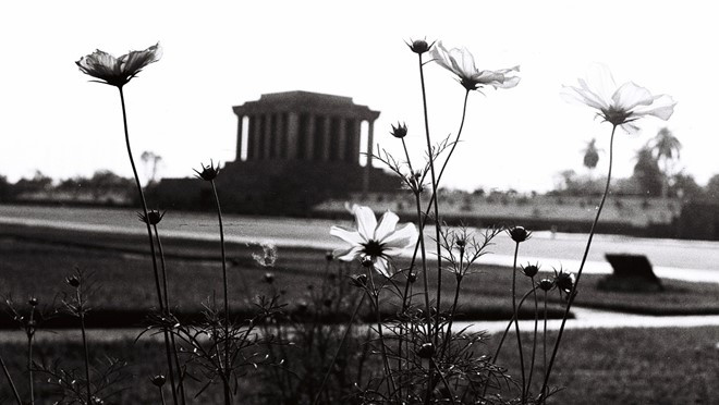 Des fleurs sur la place Ba Dinh, bien avant la construction du Mausolée du Président Hô Chi Minh.