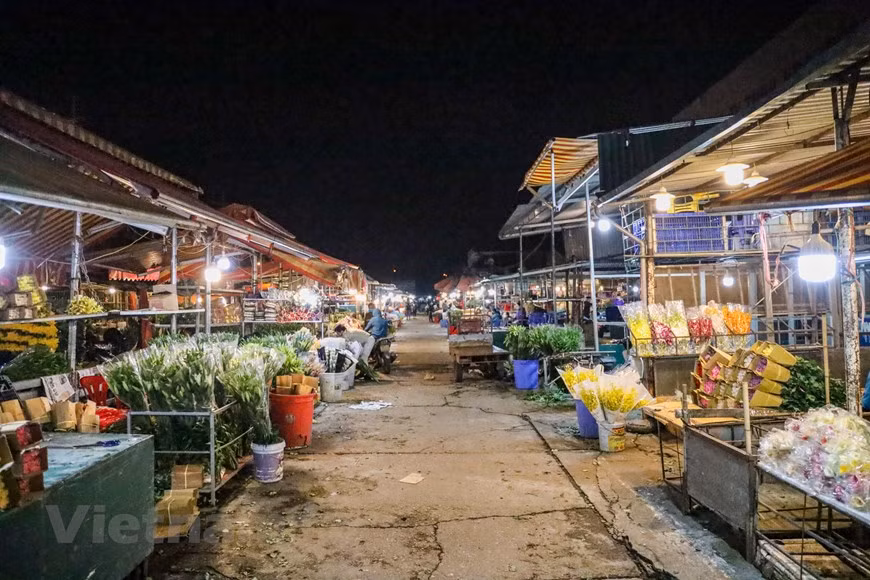 Le marché aux fleurs de Quang Ba dans l’arrondissement de Tây Hô, le plus grand de la capitale, a ouvert à nouveau ses portes. Photo: VNA
