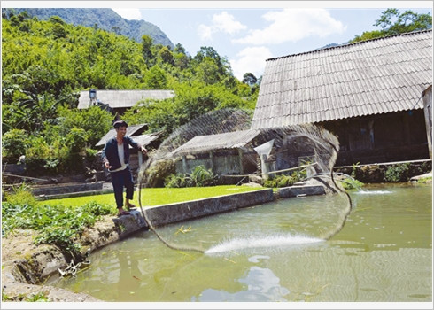 La famille de Phàn Dào Phâu a fait fortune grâce au modèle «Jardinage, pisciculture et élevage».