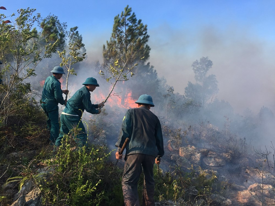 Des pompiers éteignent un feu de forêt dans la commune de Dien Yen, district de Dien Chau, province de Nghe An. Photo : VNA
