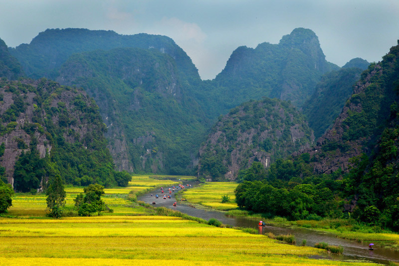 Un coin de Tam Coc illuminé des regards rêveurs, la rivière coulant entre des rizières de couleur or.