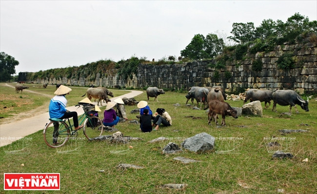 Un correspondant de CNN a décrit lors de sa visite de la Citadelle des Hô: « ... une partie du mur s’est affaissée ou est envahie par la végétation - chose inévitable, mais cela rend ce vestige encore plus mystérieux. La citadelle est entourée de champs de maïs et de rizières,...».