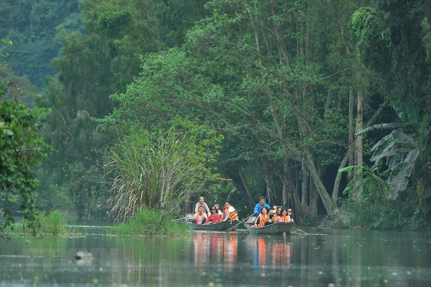 Son milieu naturel et son riche écosystème attirent les visiteurs, principalement dans son parc ornithologique. Pour l’atteindre, les touristes doivent prendre une barque qui les conduit à travers la forêt jusqu’au jardin aux oiseaux. Photo: VNA