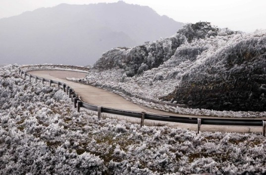 Gelée sur le mont Mâu Son. Photo: dulich24.com.vn