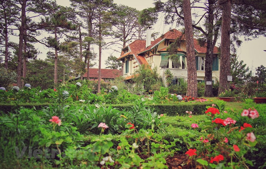  Dans le classement de Booking.com sur les destinations pour admirer des fleurs, la ville de Dà Lat, province de Lâm Dông, dans les Hauts plateaux du Centre, se classe 3e dans le top 10 des noms les plus appréciés des touristes. Situé sur un plateau à environ 1.500 mètres d'altitude, Dà Lat bénéficie d'un temps frais toute l'année qui contraste avec le climat tropical du Vietnam. Souvent connue comme la "ville au mille fleurs", Dà Lat abrite nombre de parcs floraux, fermes et festivals de fleurs, chacun transformant la ville en un espace très verdoyant, selon la plateforme de réservation en ligne Booking.com. Photo : VietnamPlus