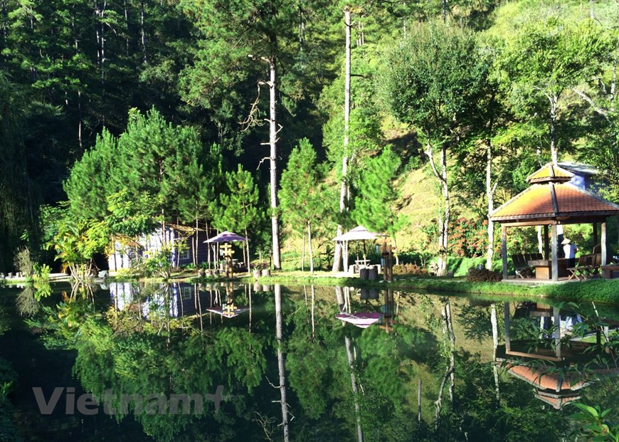  Situé au bout du lac Xuân Huong, le jardin botanique de la ville s’étend sur 11 hectares et rassemble quelque 400 variétés produites à Lâm Dông. Une multitude de serres de fleurs et légumes sont implantées sur les versants des collines voisines et certaines d’entre elles sont destinées aux rosiers. Dà Lat ambitionne de devenir un grand exportateur des fleurs de la région d’Asie du Sud-Est. Sur le classement de Booking.com, Dà Lat s’est classée au 3e rang, à côté d'Amsterdam aux Pays-Bas, Funchal au Portugal, Gramado au Brésil, Cameron en Malaisie, Cordoba en Espagne, Victoria au Canada, Toowoomba en Australie et Istanbul en Turquie. Photo: VietnamPlus
