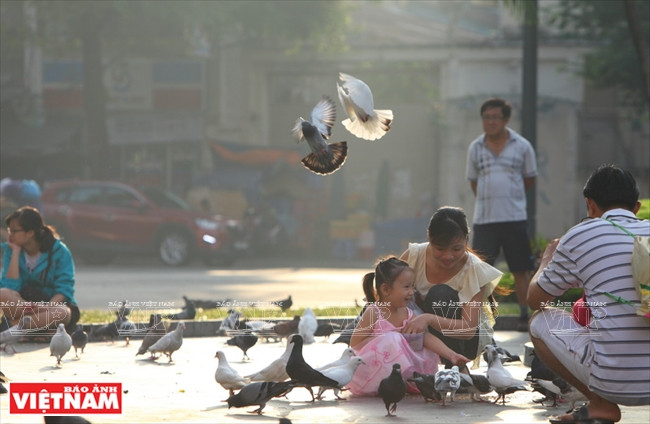 Les enfants aiment nourrir les pigeons, ainsi que les caresser et prendre des photos avec eux.