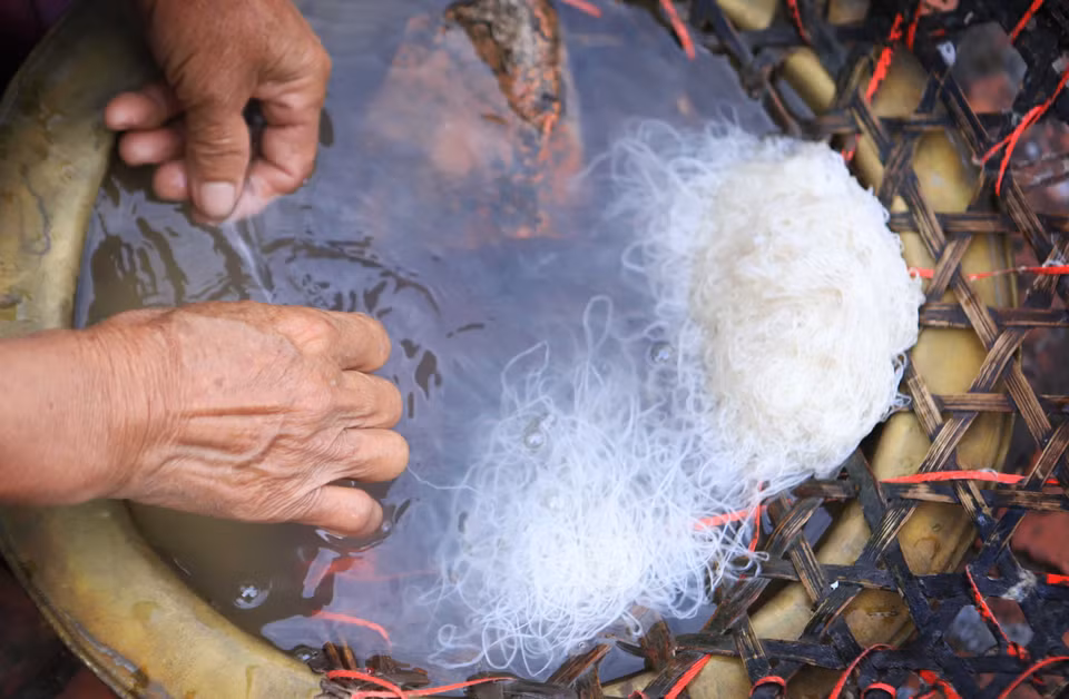 Étape de filage des cocons de vers à soie en brins. 