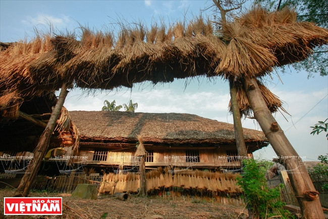 Scène très spéciale après la récolte dans le hameau de Ha Thành. 
