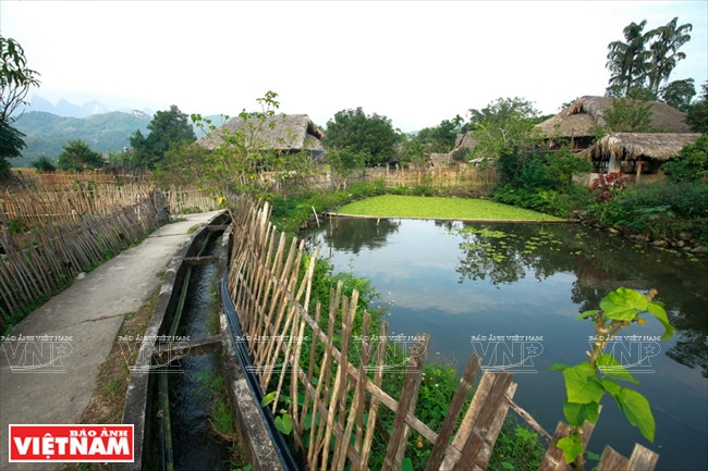 De petits chemins charmants. 