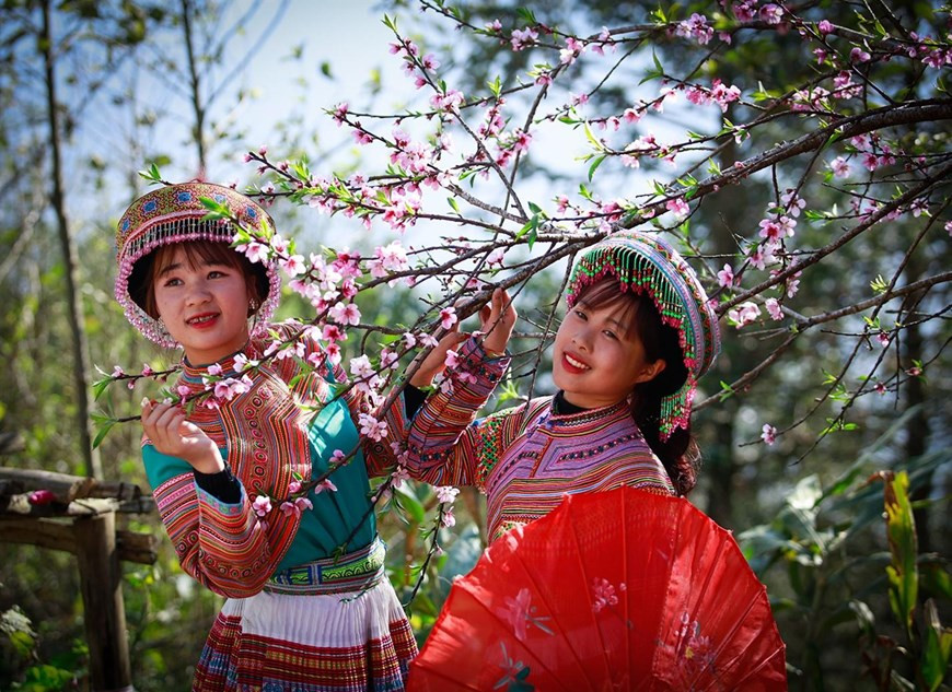 NLes visiteurs à Fansipan peuvent s'immerger dans l'ambiance festive de la fête du printemps