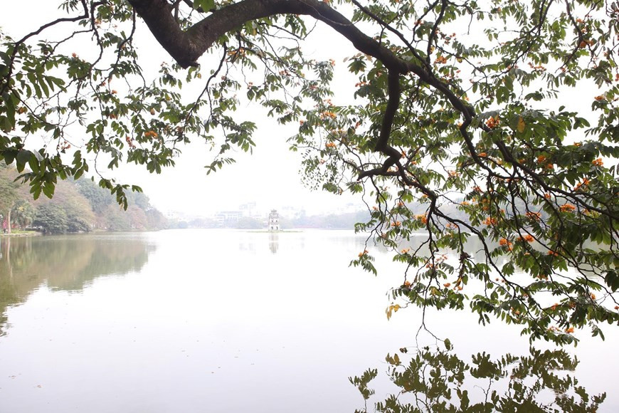  Une particularité du printemps ces derniers jours, c'est le mélange de jaune, de rouge et de vert des arbres.