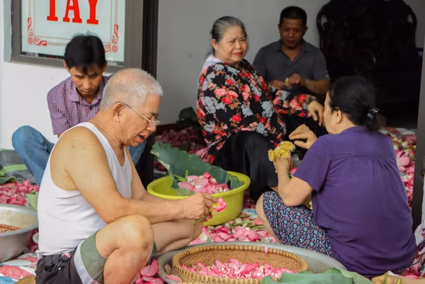  Selon M. Xiem, ce travail n’est pas difficile, mais il nécessite de la minutie et de l’exigence. Pour réaliser un thé savoureux, il faut de bon matin, cueillir à la main des fleurs à peine épanouies. Celles-ci sont transportées rapidement à domicile. Puis, les artisans enlèvent les pétales et détachent les étamines, appelées ''gao sen''. C’est l’ingrédient le plus important qui détermine la qualité et l’arôme du thé. Un kilo de trà sen nécessite de 1.000 à 1.200 lotus. Les artisans saupoudrent une couche d’étamines sur le thé. On répète cette étape en alternance, thé et étamines. Ensuite, le thé est séché complètement, avant d’être conservé dans des vases ou des bouteilles en verre. Photo : Vietnamplus 