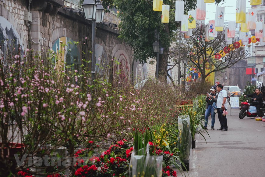  Les Hanoïens célèbrent le Nouvel An non seulement avec des "banh chung" (gâteau carré du riz gluant farci de viande de porc et de haricots verts), des rondelles de "gio lua" (pâté royal de viande de porc pilé), des étrennes glissés dans des petites enveloppes rouges mais aussi des branches de pêchers rouges, des kumquats ou des vases de fleurs vives, qui sont considérés comme des messagers du printemps. Le marché des fleurs de Hang Luoc offre des spécialités florales comme les fleurs de pêcher de Quang Ba et de Nhat Tan, des marguerites de Ngoc Ha... On peut acheter des fleurs partout à Hanoi, mais pour beaucoup de Hanoiens, le marché de Hang Luoc occupe toujours une place très importante. 