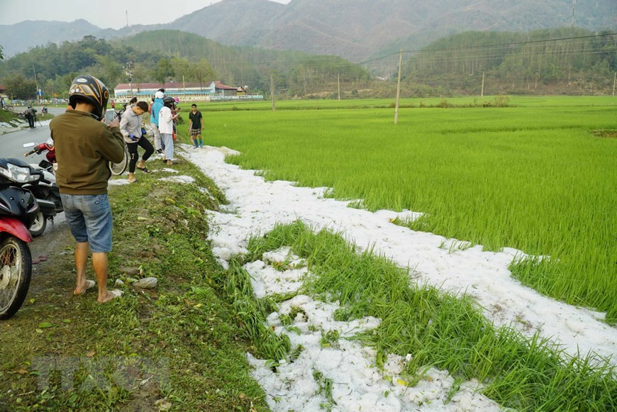  Grêlons dans la commune de Hua Thanh, district de Dien Bien.