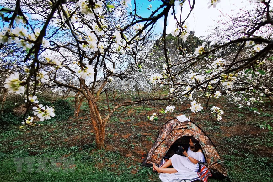  Située à environ 5 km du centre du chef-lieu de Moc Chau, la vallée de Mu Nau est une destination à ne pas manquer.