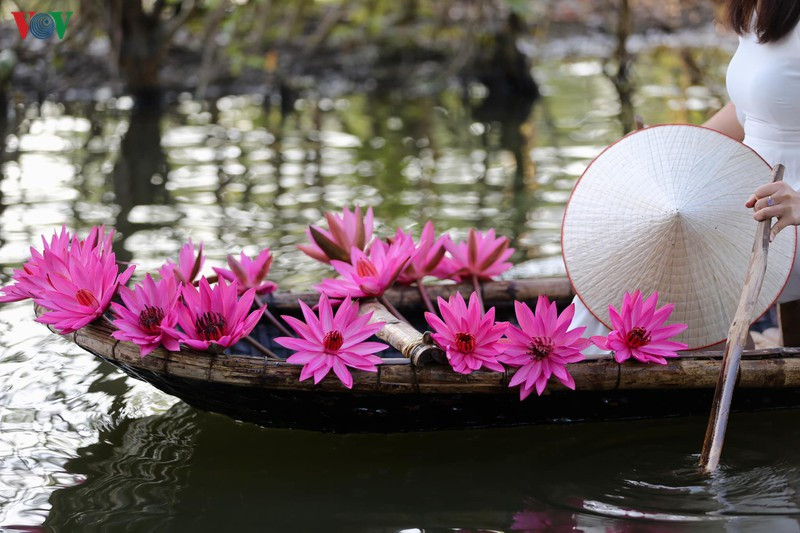 Les nénuphars fleurissent généralement à l'aube et replient leurs pétales à midi et l'après-midi. Par conséquent, si vous voulez voir les plus belles fleurs, vous devrez vous lever tôt et embarquer sur la rivière entre 6h et 9h.
