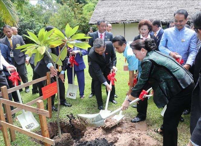 Elle a planté un arbre du souvenir dans le vestige.