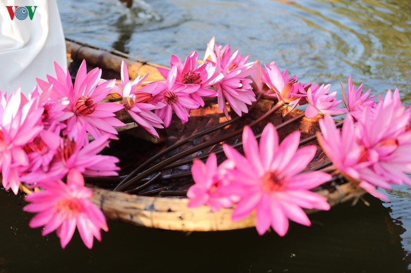 Le nénuphar symbolise la vitalité intense, la chance, la richesse et la prospérité. Chaque couleur de fleur a une signification différente: le nénuphar rouge signifie l'amour passionné, l'enthousiasme; le nénuphar rose exprime la fraîcheur, la jeunesse; le nénuphar blanc la sainteté, la pureté...