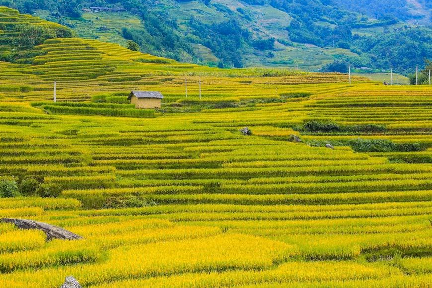 Photo: Vietnam+