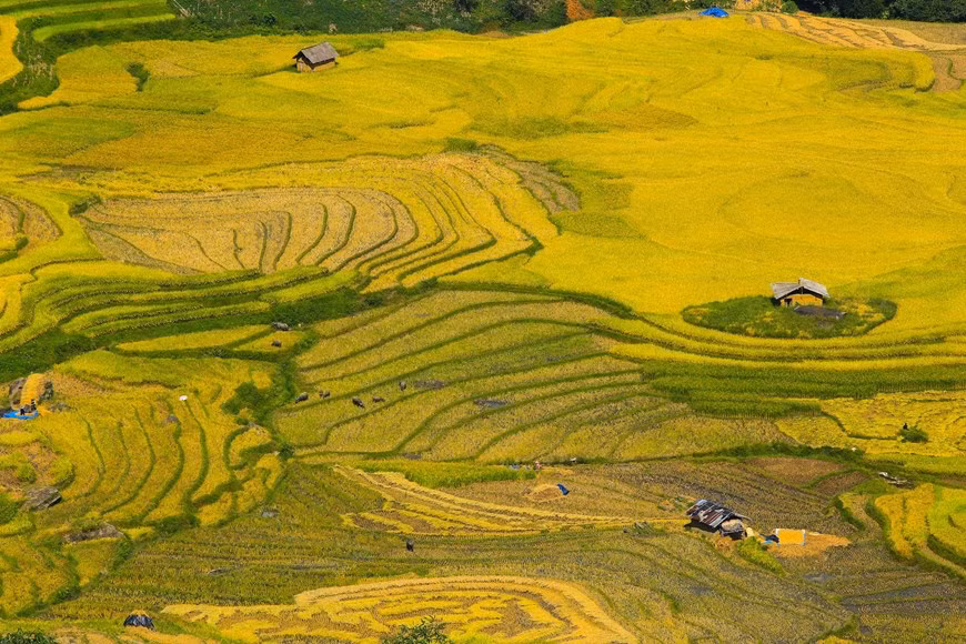 Photo: Vietnam+