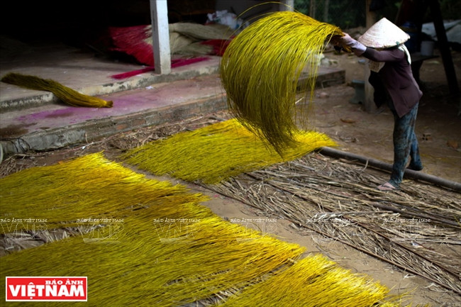 Les tiges de souchet de Malacca teintées sont séchées au soleil.