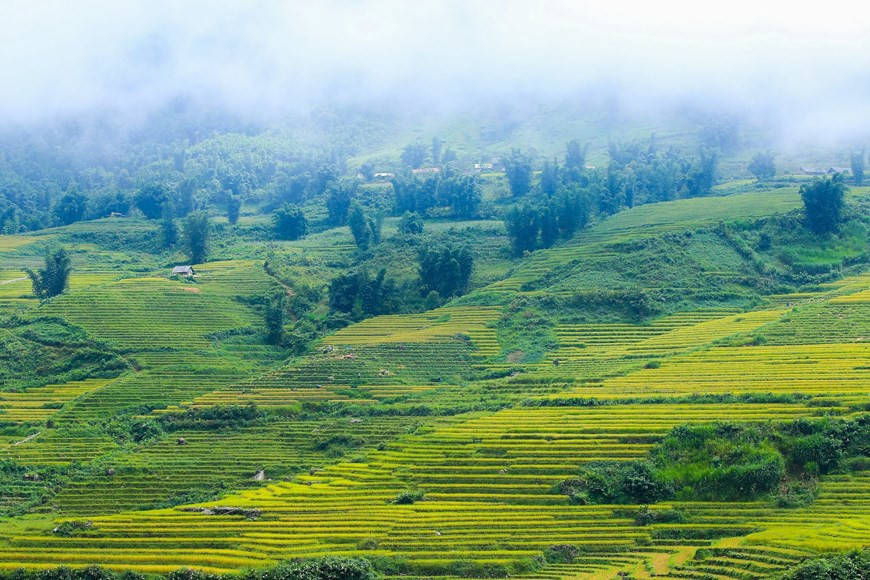 Y Ty attire les voyageurs pour la beauté fantastique de ses paysages souvent dans la brume, ses forêts vierges et ses groupes ethniques bigarrés. Photo: Vietnam+