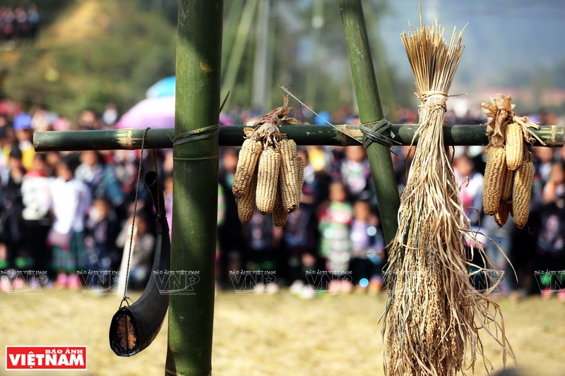 Les H'mong suspendent des maïs sur le "Cây nêu", la perche rituelle du Têt, afin de prier pour une année heureuse et des récoltes abondantes.