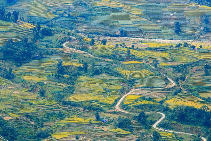 Photo: Vietnam+