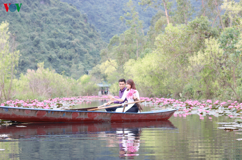 Les nénuphars séduisent de nombreux jeunes. Un grand espace rempli de fleurs est également un endroit idéal pour les couples désireux de faire des photos romantiques.