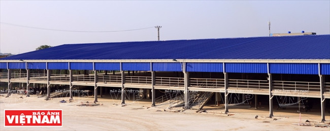 Les attaches de toiture de Song Nam sont utilisées pour la construction d'une usine à Câm Giang, province de Hai Duong. 
