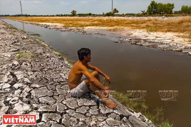 La sécheresse et l’intrusion d'eau salée les plus sévères depuis un siècle.