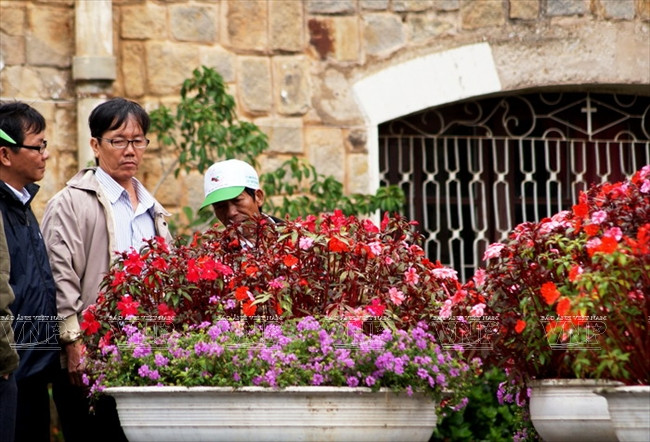 Visiteurs regardant des fleurs dans la cathédrale Domaine de Marie.