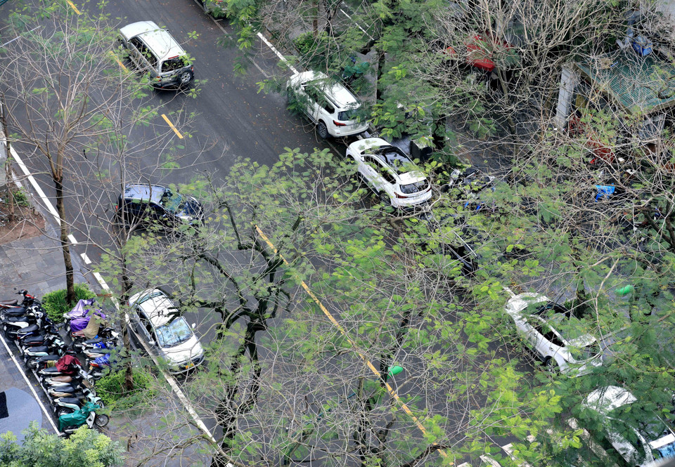 Hanoi à la saison de changement de feuilles. Photo: VNA