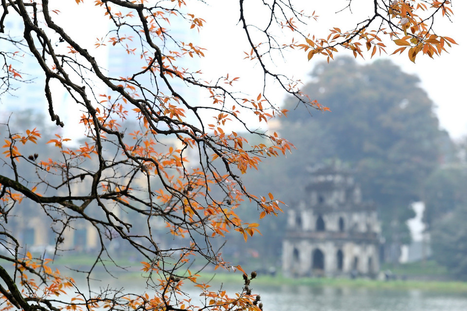 Situé en plein cœur de la capitale vietnamienne, le lac de l'Épée restituée est sans doute la première image que le mot « Hanoi » évoque chez les Hanoiens résidant loin du pays. Il est vrai que ce lac en plein centre de la ville, avec son paysage calme et luxuriant, est un véritable miracle de poésie qui rend Hanoi unique aux yeux des touristes et en fait un lieu particulièrement attachant. Photo: VNA
